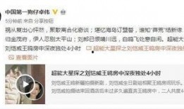 王温暖爆料视频大全集,揭秘背后真相与情感纠葛