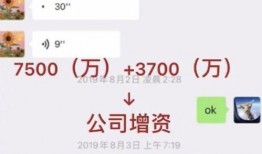 明星网红头条爆料视频