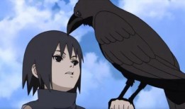 火影灭族鼬爆料视频,火影灭族真相大曝光