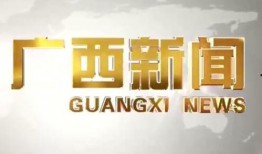 广西新闻爆料找谁咨询啊,揭秘如何获取权威信息