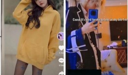 韩安冉最新爆料情敌视频,情敌视频引发热议，真相究竟如何？