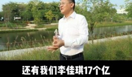 龚文祥爆料完整视频大全,揭秘行业真相与内幕