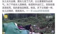 营口老边区爆料事件视频,真相与争议交织