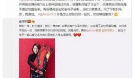 卓伟的爆料事件视频在线观看,揭秘幕后真相，视频在线观看解析