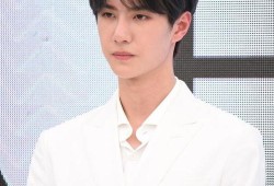 娱乐吃瓜肖战王一博,娱乐圈的瓜田，谁主沉浮？