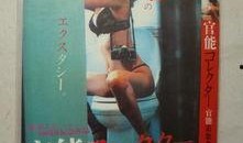 官能收藏家在线观看,沉浸式视觉盛宴，揭秘官能艺术的魅力之旅