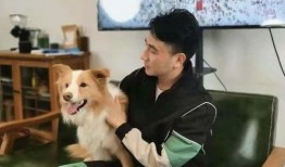 朱小贞同学爆料视频,事件背后惊人真相