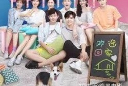 hi室友在线观看