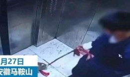 小男孩内鬼爆料视频大全,小男孩爆料视频大全深度解析