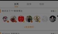玄机爆料视频,精彩剧情与幕后制作一探究竟