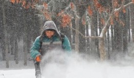 哈尔滨下雪爆料视频播放,冬日浪漫瞬间引网友热议