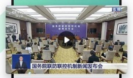 岑溪新闻媒体爆料视频,视频揭露惊人真相