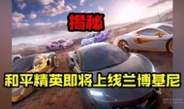 新转盘和平精英最新爆料,新转盘来袭！和平精英最新爆料揭秘全新游戏玩法