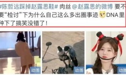 陈哲远粉丝爆料视频大全,揭秘偶像幕后故事