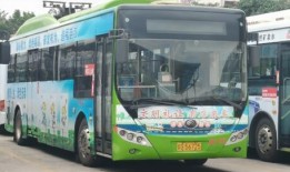 今日一线爆料湛江公交车