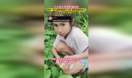 最强吃瓜小女孩免费阅读,揭秘娱乐圈背后的秘密