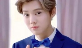 鹿晗豪宅爆料事件视频播放,揭秘明星奢华住所幕后