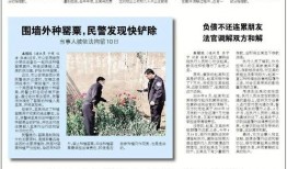 沧州晚报新闻爆料,揭秘背后惊人真相！