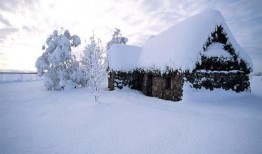 哈尔滨下雪爆料视频播放,冬日浪漫瞬间引网友热议