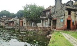 东莞茶山镇爆料事件视频,视频揭露惊人真相