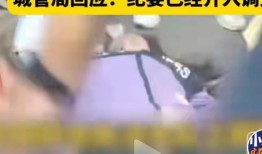 热门冤案爆料视频完整版,热门爆料视频完整版深度解析