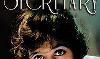 secretary在线观看,在线观看秘书秘事