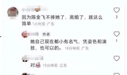 刘亦菲陈金飞圈内人爆料,揭秘娱乐圈背后的真相