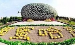 哈密瓜节哈密瓜免费吃,免费品尝甜蜜盛宴