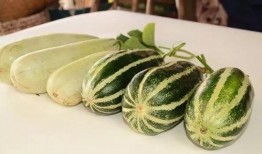 免费看网红吃瓜入口,免费入口带你一探究竟