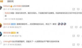 暴雪最新爆料消息视频,揭秘游戏界神秘新项目，敬请期待！