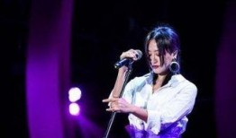 张小寒爆料歌手视频大全,歌手视频大全背后的精彩瞬间