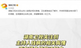 娱乐吃瓜项目有哪些,盘点热门吃瓜项目，带你领略幕后风云