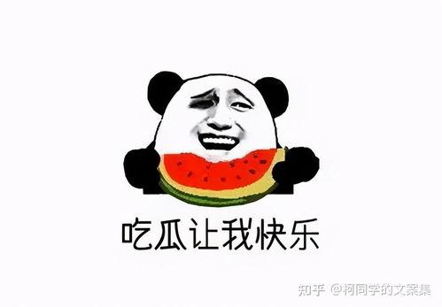 娱乐吃瓜的文案短句